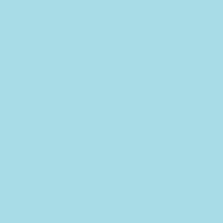 #10 Blue RRB